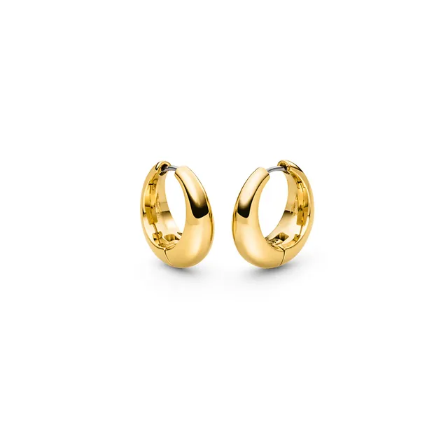 boccia-titanium-05096-02-creolen-ohrringe-gold-titan-21-mm image 1