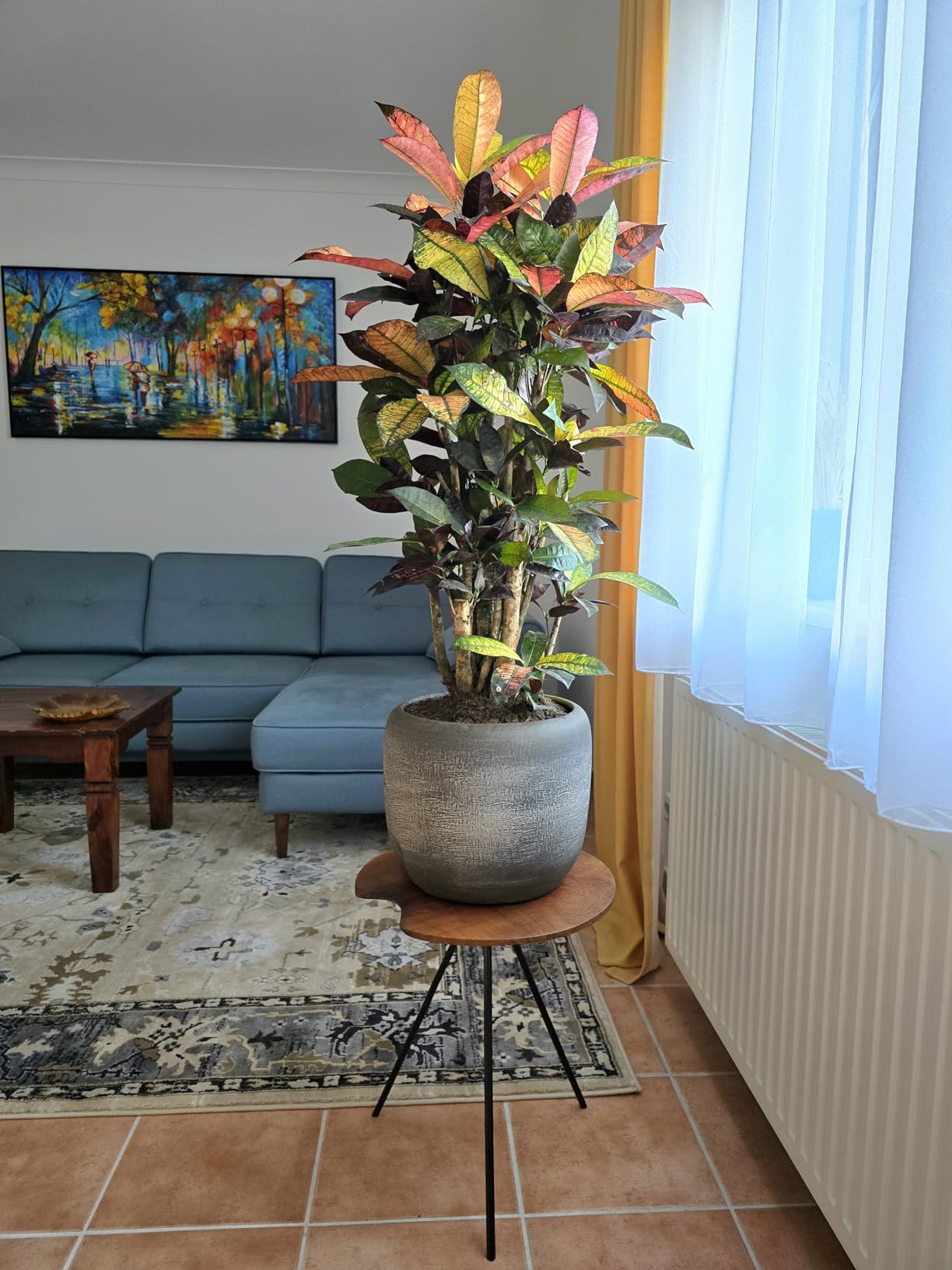 Wunderschöne Holzplatte