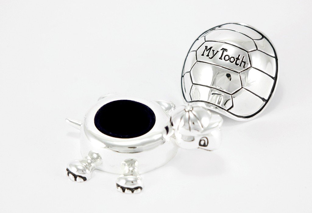 brillibrum-zahndose-schildkr-te-versilbert-mit-gravur-bis-20-zeichen image 1