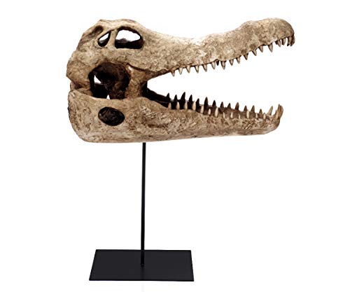 brillibrum-design-krokodil-sch-del-skulptur-gro-60-cm-mit-metallfu image 7