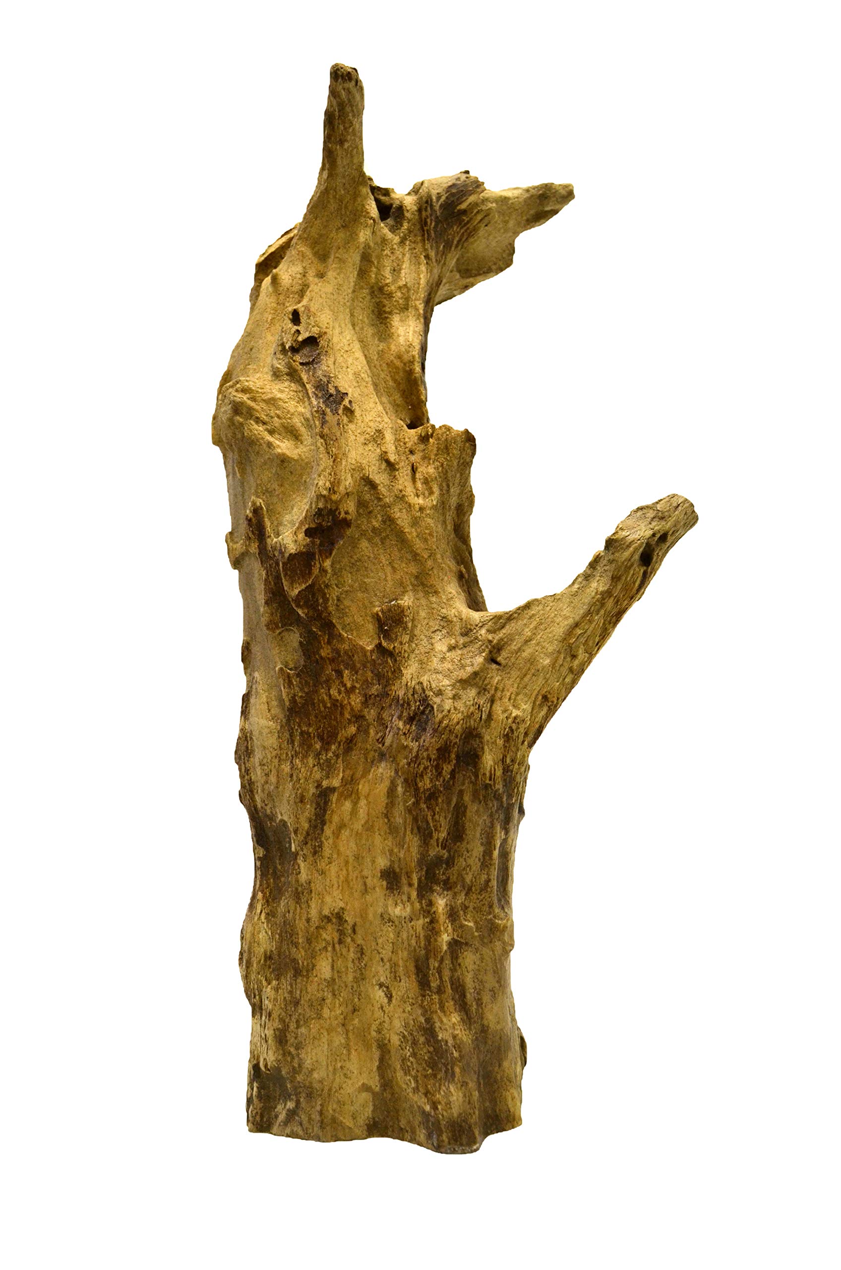 brillibrum-teakholz-wurzel-deko-skulptur-unikat-500-1000-g image 2