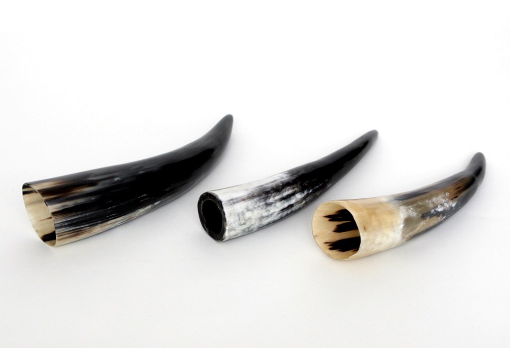 brillibrum-design-kuhhorn-20-30-cm-echtes-horn-poliert image 6