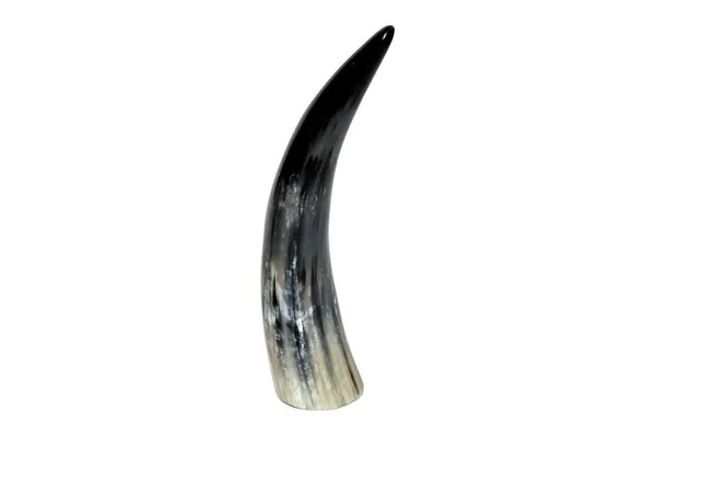 brillibrum-design-kuhhorn-20-30-cm-echtes-horn-poliert image 1