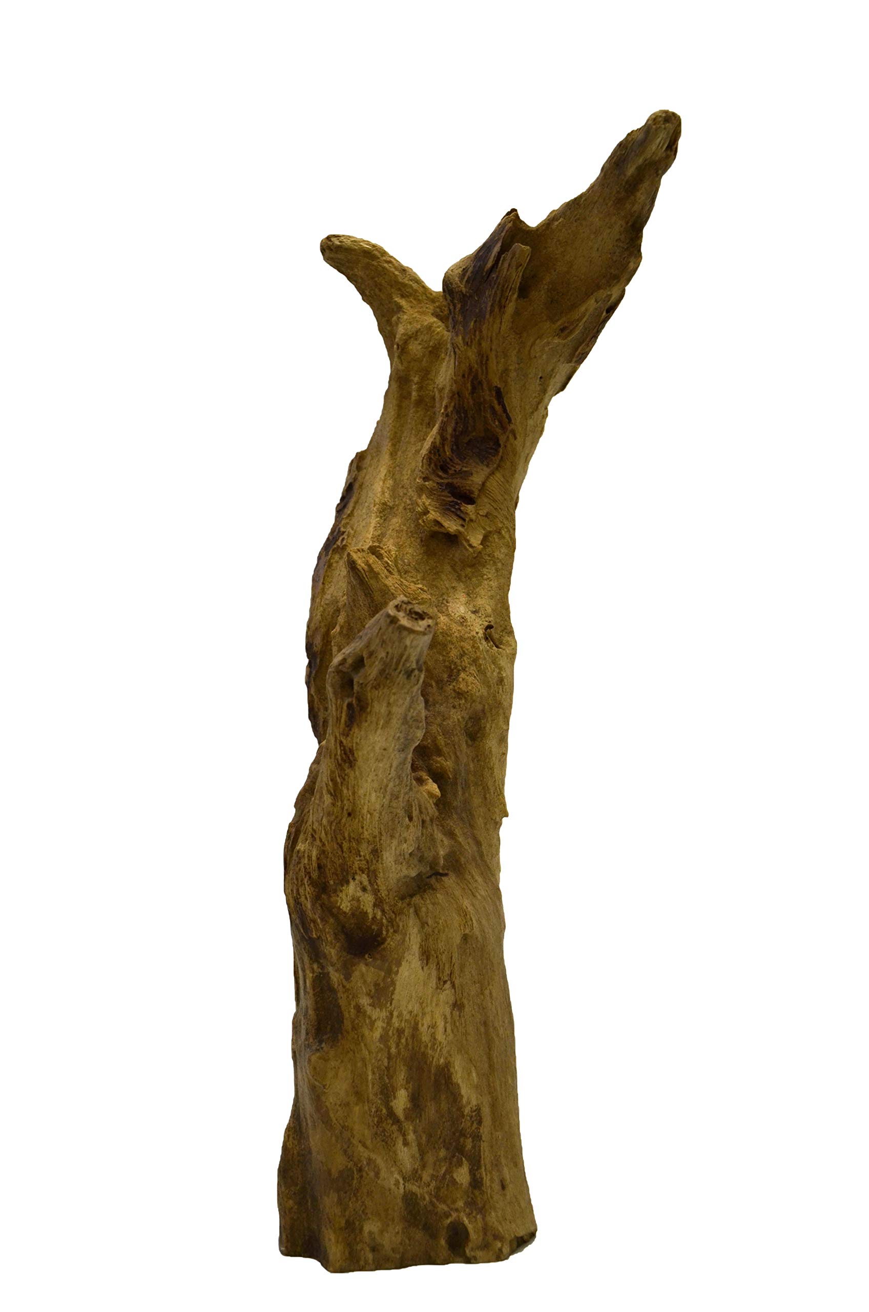 brillibrum-teakholz-wurzel-deko-skulptur-unikat-500-1000-g image 6