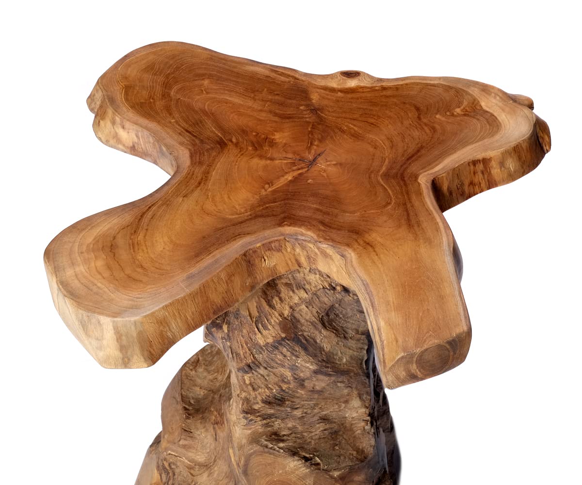 brillibrum-baumstamm-tisch-teakholz-beistelltisch-sitzhocker-massiv-45-cm image 6