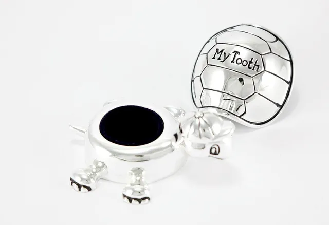 brillibrum-zahndose-schildkr-te-versilbert-mit-gravur-bis-20-zeichen image 1