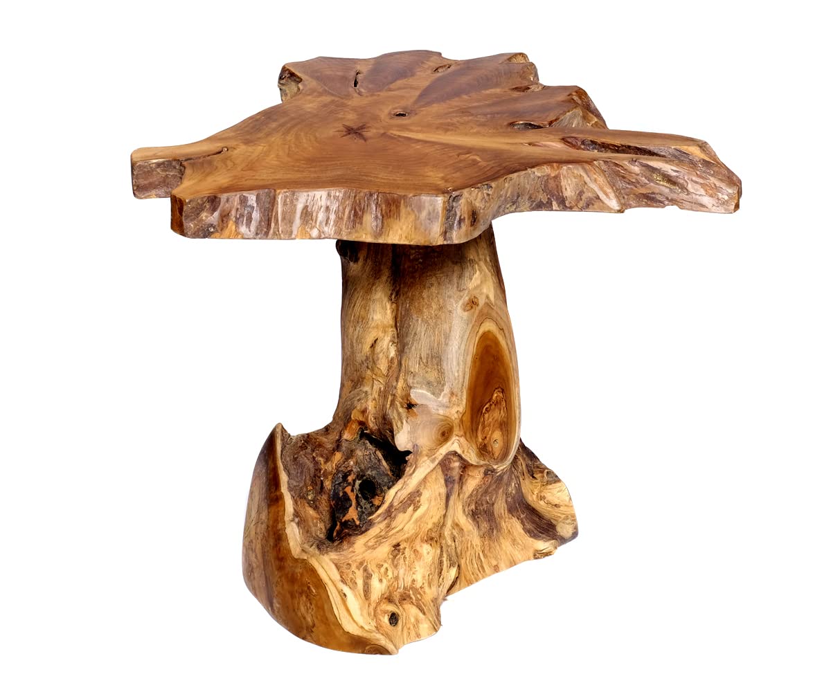 brillibrum-baumstamm-tisch-teakholz-beistelltisch-sitzhocker-massiv-45-cm image 5