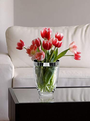 brillibrum-design-glas-vase-mit-platinrand-16-cm-mundgeblasen image 6