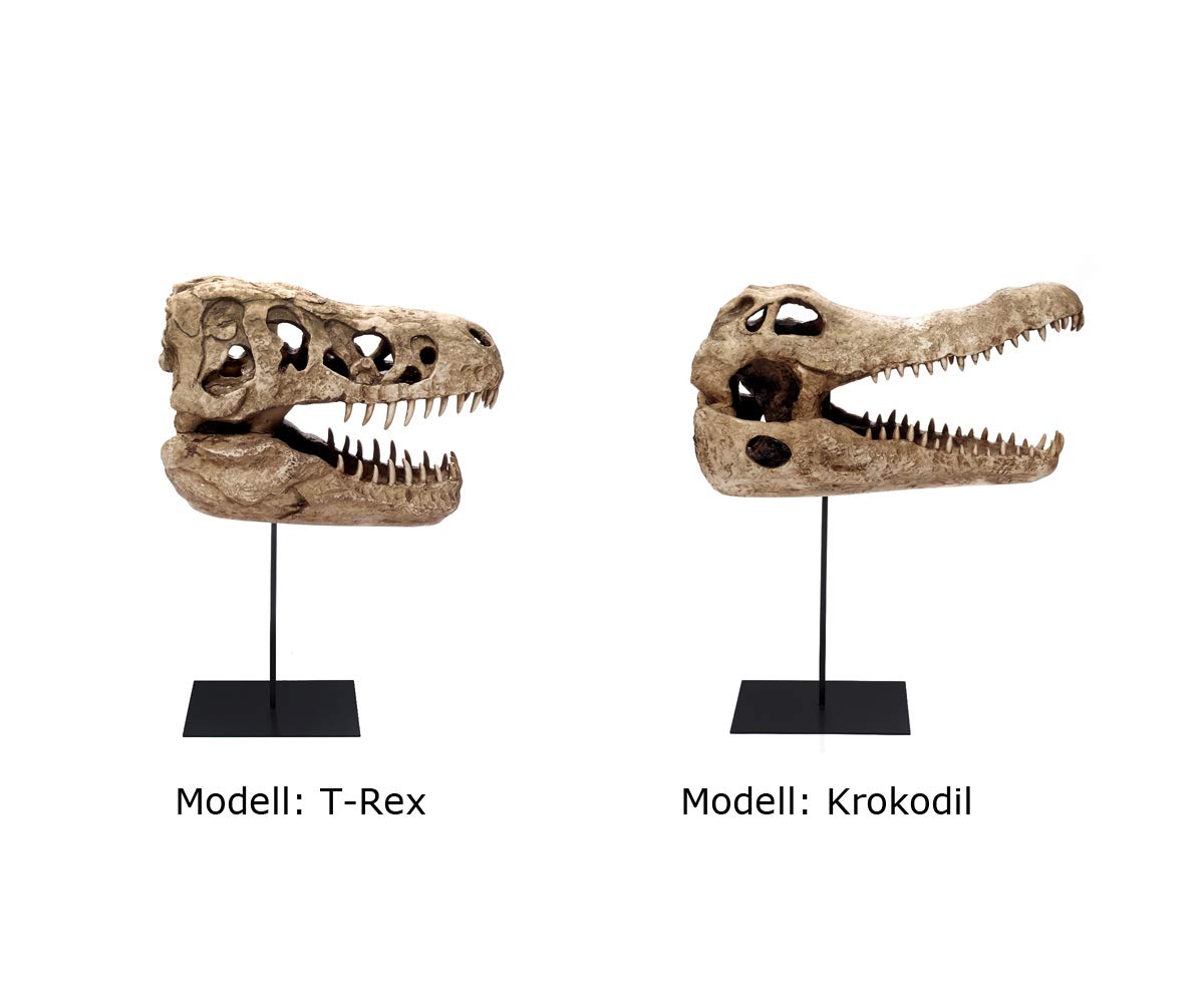 brillibrum-design-krokodil-sch-del-skulptur-gro-60-cm-mit-metallfu image 6