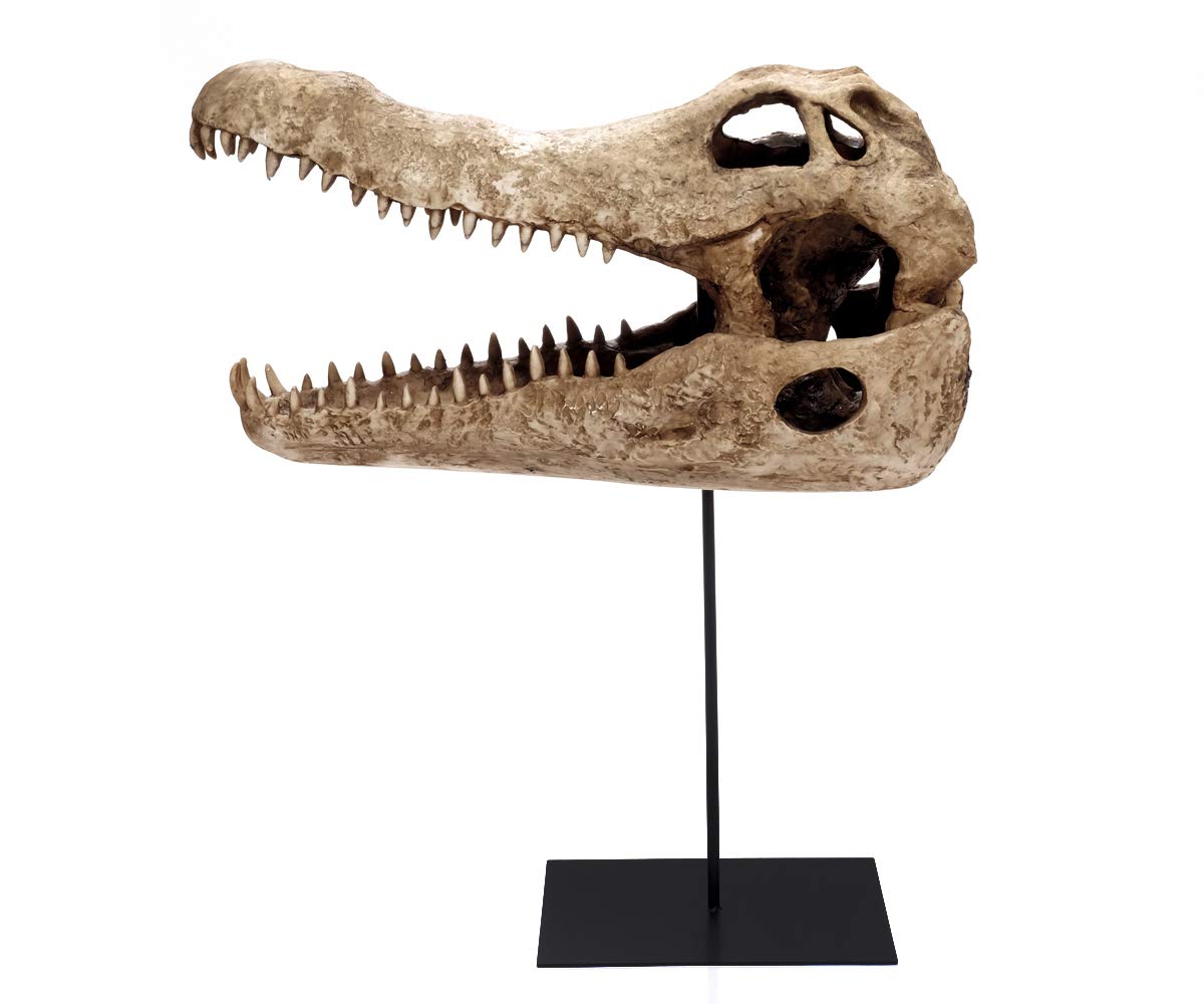 brillibrum-design-krokodil-sch-del-skulptur-gro-60-cm-mit-metallfu image 4