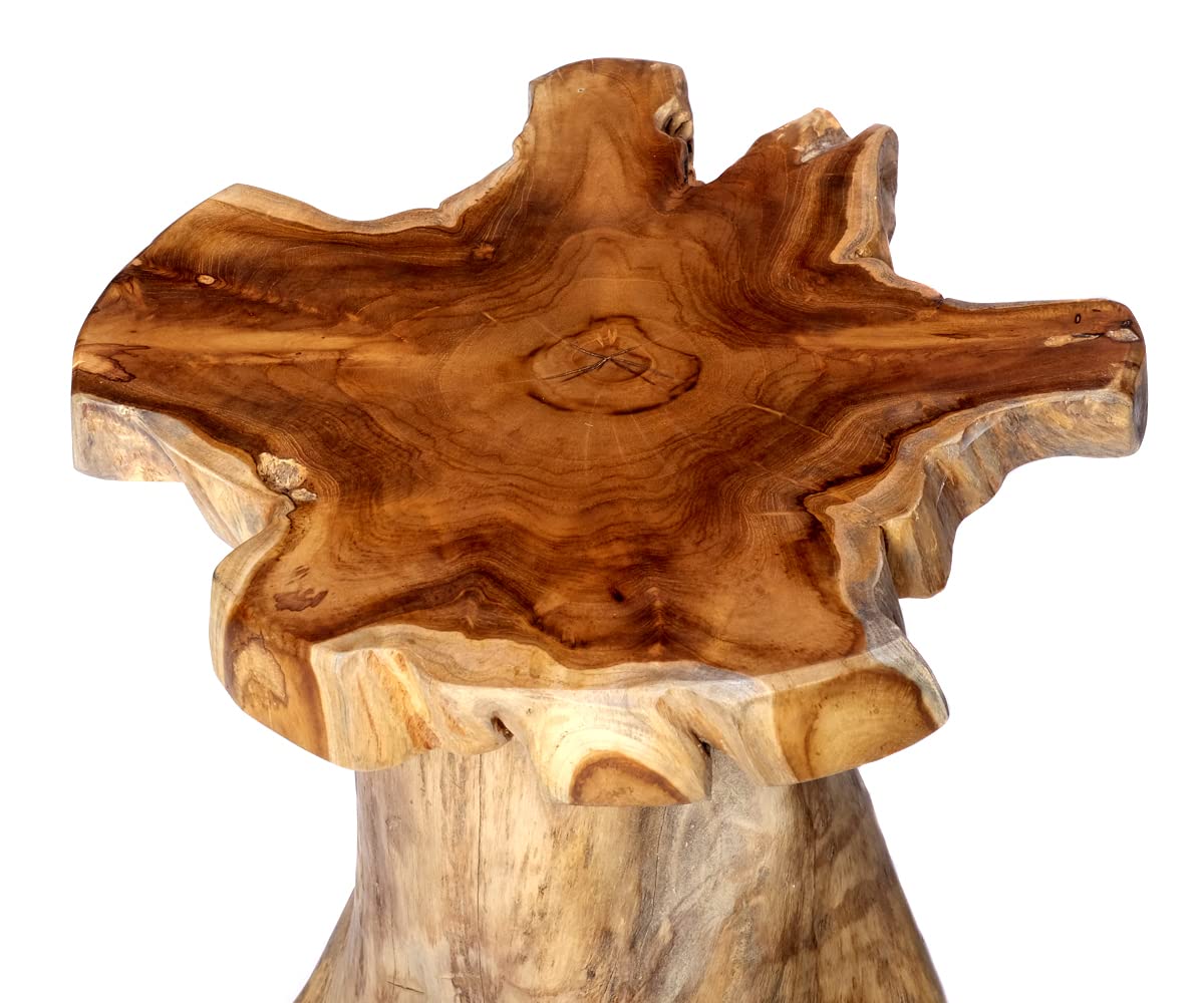 brillibrum-baumstamm-tisch-teakholz-beistelltisch-sitzhocker-massiv-45-cm image 3