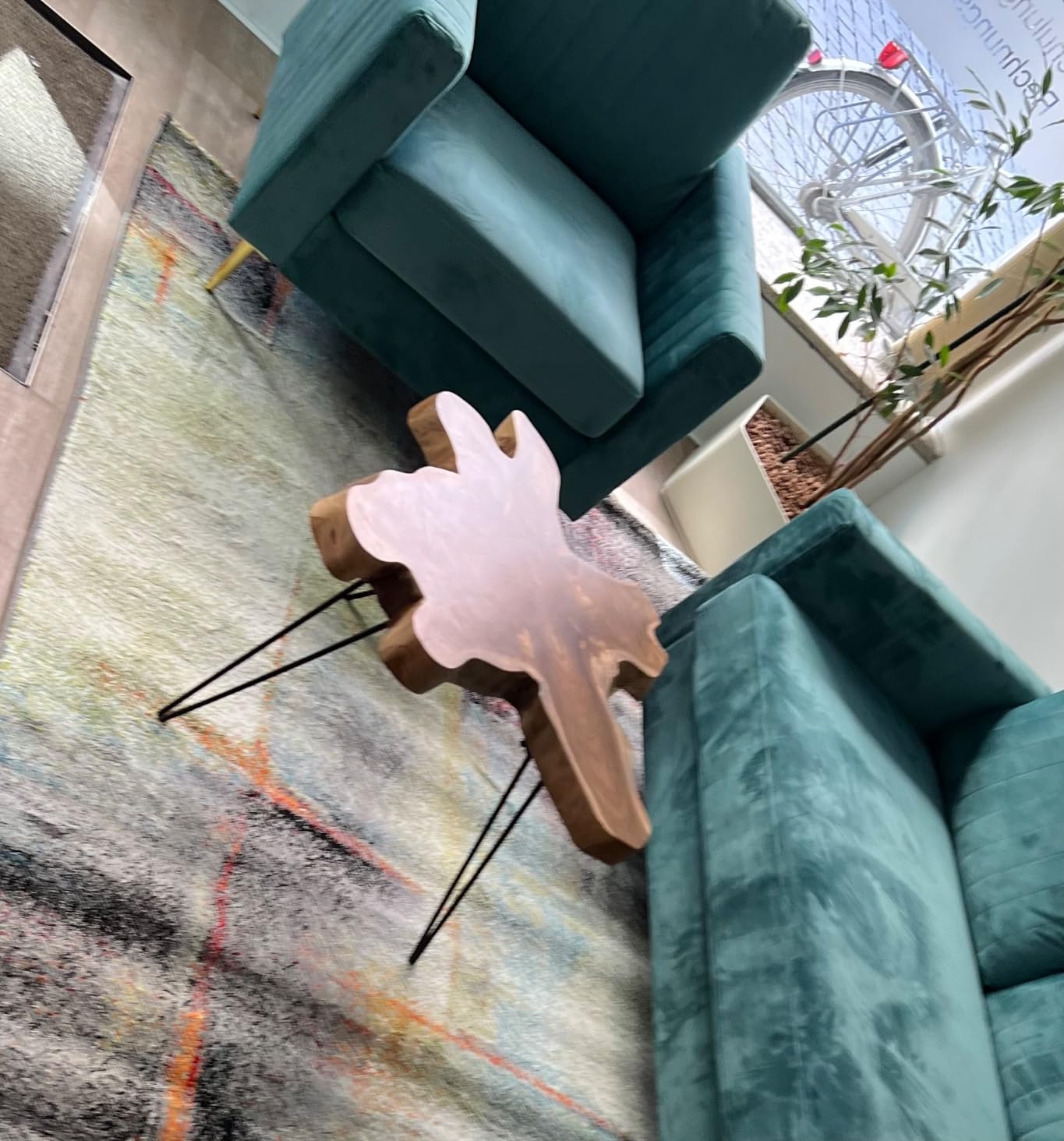 Natur pur im Wohnzimmer