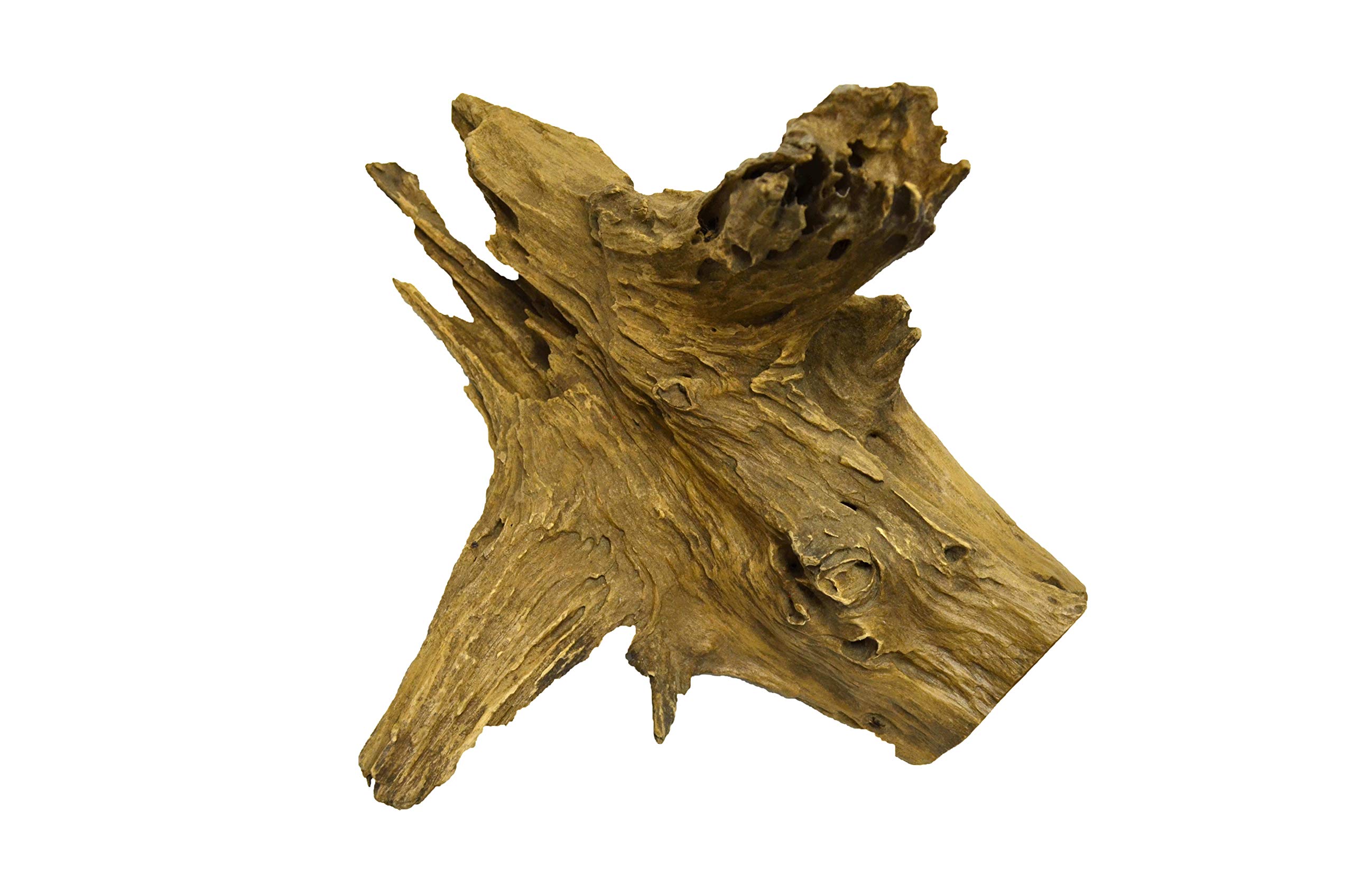 brillibrum-teakholz-wurzel-deko-skulptur-unikat-500-1000-g image 3
